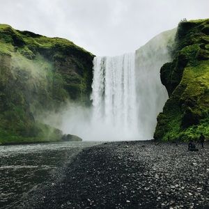 Meet your Posher, Lillian